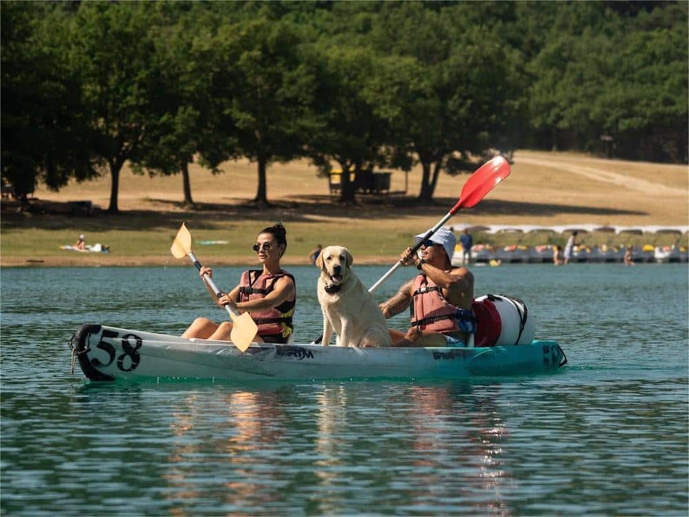 Canoé avec les familles et les chiens dans le verdon