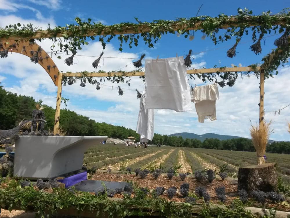 Marché provençal dans les champs de lavande