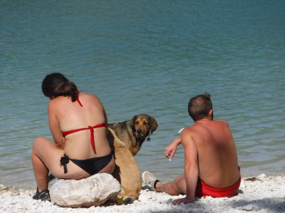 Baignade dans le verdon avec son chien