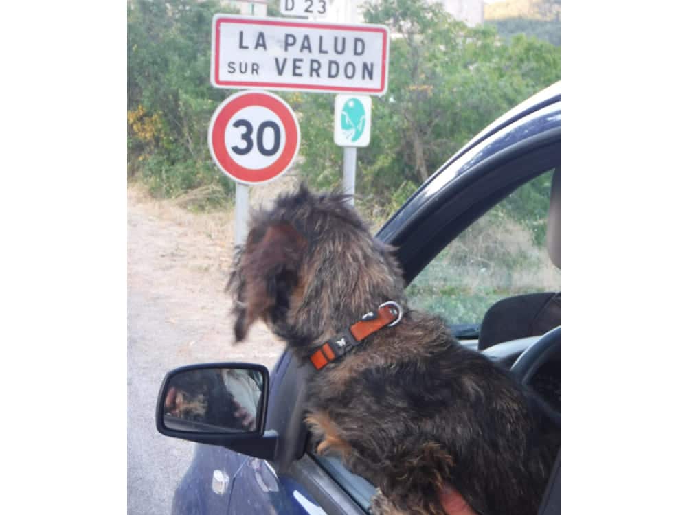 Vacances dans le Verdon avec mon chien