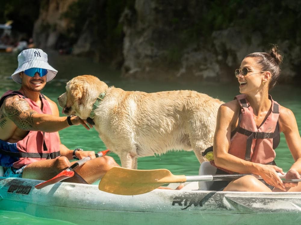 Que faire avec mon chien dans le Verdon, activité
